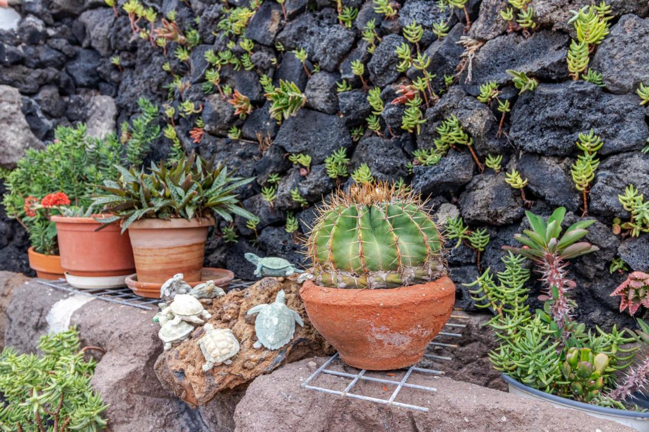 Casa Mari By Canariasgetaway Moya  Eksteriør billede